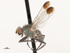  ( - CBG-A69635-C09)  @11 [ ] CreativeCommons - Attribution Share - Alike (2025) CBG Photography Group Centre for Biodiversity Genomics