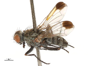  ( - CBG-A69635-C10)  @11 [ ] CreativeCommons - Attribution Share - Alike (2025) CBG Photography Group Centre for Biodiversity Genomics