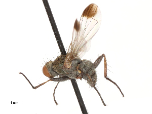  ( - CBG-A69635-C11)  @11 [ ] CreativeCommons - Attribution Share - Alike (2025) CBG Photography Group Centre for Biodiversity Genomics