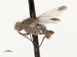  ( - CBG-A69635-D02)  @11 [ ] CreativeCommons - Attribution Share - Alike (2025) CBG Photography Group Centre for Biodiversity Genomics