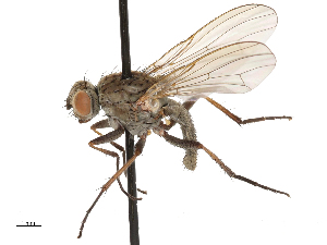  ( - CBG-A69635-D04)  @11 [ ] CreativeCommons - Attribution Share - Alike (2025) CBG Photography Group Centre for Biodiversity Genomics