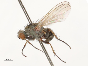  ( - CBG-A69635-D06)  @11 [ ] CreativeCommons - Attribution Share - Alike (2025) CBG Photography Group Centre for Biodiversity Genomics