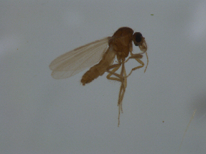  ( - C_rec_004)  @11 [ ] by-nc-sa (2024) Marco Mancini University of Iceland