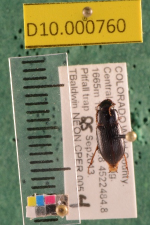  ( - NEON.BET.D10.000760)  @12 [ ] Copyright (2010) National Ecological Observatory Network, Inc. National Ecological Observatory Network (NEON) http://www.neoninc.org/content/copyright