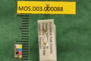  ( - MOS.D03.000088)  @12 [ ] Copyright (2010) National Ecological Observatory Network, Inc. National Ecological Observatory Network (NEON) http://www.neoninc.org/content/copyright