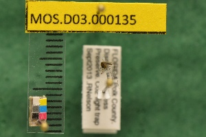  ( - MOS.D03.000135)  @12 [ ] Copyright (2010) National Ecological Observatory Network, Inc. National Ecological Observatory Network (NEON) http://www.neoninc.org/content/copyright