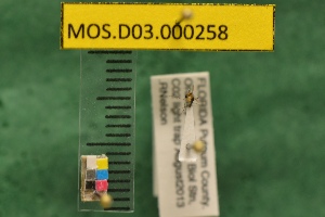  ( - MOS.D03.000258)  @12 [ ] Copyright (2010) National Ecological Observatory Network, Inc. National Ecological Observatory Network (NEON) http://www.neoninc.org/content/copyright