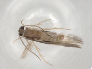  ( - BIOUG98367-G08)  @11 [ ] CreativeCommons - Attribution (2023) Centre for Biodiversity Genomics Centre for Biodiversity Genomics