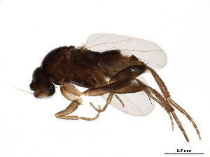  ( - BIOUG30122-C04)  @11 [ ] CreativeCommons - Attribution (2019) CBG Photography Group Centre for Biodiversity Genomics