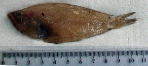  ( - CiLi8P)  @12 [ ] Unspecified (default): All Rights Reserved  Unspecified Unspecified