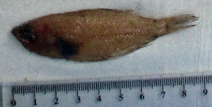  ( - CiLi8R)  @12 [ ] Unspecified (default): All Rights Reserved  Unspecified Unspecified