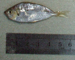  ( - EqKl12X)  @12 [ ] Unspecified (default): All Rights Reserved  Unspecified Unspecified