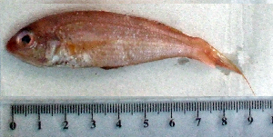  ( - NeRa16Q)  @11 [ ] Unspecified (default): All Rights Reserved  Unspecified Unspecified