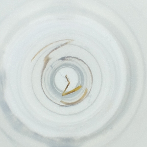  ( - JHGS_016_A2)  @11 [ ] by (2023) Wellcome Sanger Institute (Genome Research Limited) Wellcome Sanger Institute (Genome Research Limited)