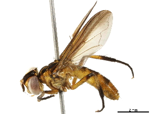  ( - BIOUG29591-E05)  @13 [ ] CreativeCommons - Attribution (2019) CBG Photography Group Centre for Biodiversity Genomics
