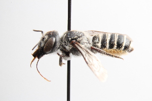  ( - UCSD.JLM.2728)  @11 [ ] by-nc (2025) Jessica Mullins Unspecified