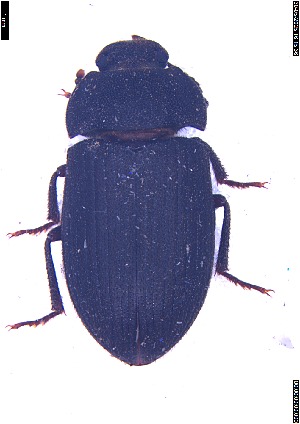  ( - BIO636005)  @11 [ ] Unspecified (default): All Rights Reserved  Unspecified Unspecified