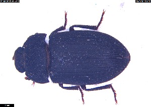  ( - BIO636005)  @11 [ ] Unspecified (default): All Rights Reserved  Unspecified Unspecified