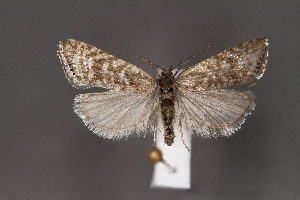  ( - CJSI2555)  @11 [ ] by-nc-sa (2021) J&uuml;rg Schmid Unspecified