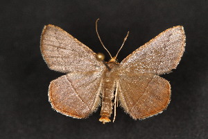  ( - CJSI2567)  @11 [ ] by-nc-sa (2021) Jürg Schmid Unspecified