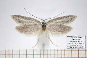  ( - CJSI2585)  @11 [ ] by-nc-sa (2021) Jürg Schmid Unspecified