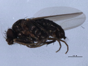  ( - 10JSROW-0008)  @12 [ ] CreativeCommons - Attribution (2010) CBG Photography Group Centre for Biodiversity Genomics