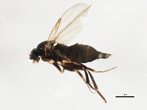  ( - BIOUG00866-B05)  @13 [ ] CreativeCommons - Attribution (2011) CBG Photography Group Centre for Biodiversity Genomics