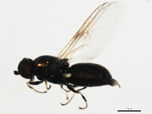  ( - BIOUG00866-D09)  @13 [ ] CreativeCommons - Attribution (2011) CBG Photography Group Centre for Biodiversity Genomics