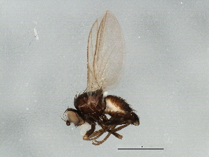  ( - BIOUG01587-G09)  @12 [ ] CreativeCommons - Attribution (2012) CBG Photography Group Centre for Biodiversity Genomics