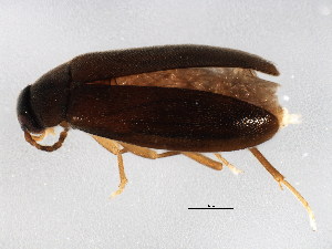  ( - BIOUG01641-D10)  @13 [ ] CreativeCommons - Attribution (2012) CBG Photography Group Centre for Biodiversity Genomics