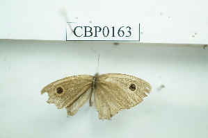  ( - UMKL-JSSW-163)  @12 [ ] Unspecified (default): All Rights Reserved  Unspecified Unspecified