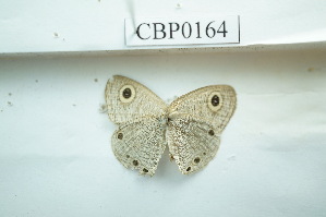  ( - UMKL-JSSW-164)  @12 [ ] Unspecified (default): All Rights Reserved  Unspecified Unspecified