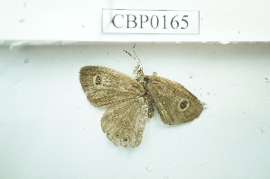  ( - UMKL-JSSW-165)  @12 [ ] Unspecified (default): All Rights Reserved  Unspecified Unspecified