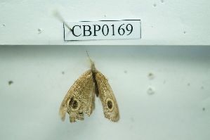  ( - UMKL-JSSW-169)  @12 [ ] Unspecified (default): All Rights Reserved  Unspecified Unspecified