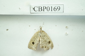  ( - UMKL-JSSW-169)  @12 [ ] Unspecified (default): All Rights Reserved  Unspecified Unspecified