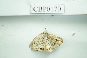  ( - UMKL-JSSW-170)  @12 [ ] Unspecified (default): All Rights Reserved  Unspecified Unspecified