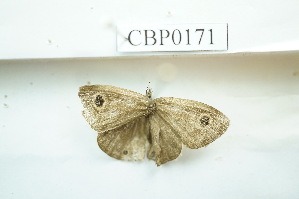  ( - UMKL-JSSW-171)  @12 [ ] Unspecified (default): All Rights Reserved  Unspecified Unspecified