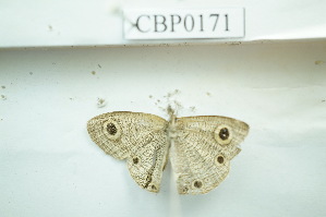  ( - UMKL-JSSW-171)  @12 [ ] Unspecified (default): All Rights Reserved  Unspecified Unspecified