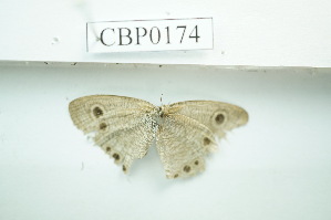  ( - UMKL-JSSW-174)  @12 [ ] Unspecified (default): All Rights Reserved  Unspecified Unspecified