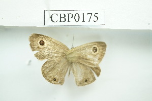  ( - UMKL-JSSW-175)  @12 [ ] Unspecified (default): All Rights Reserved  Unspecified Unspecified