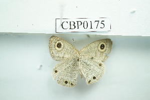  ( - UMKL-JSSW-175)  @12 [ ] Unspecified (default): All Rights Reserved  Unspecified Unspecified