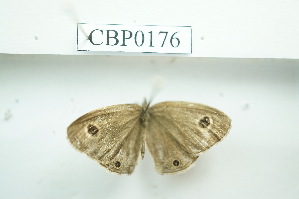  ( - UMKL-JSSW-176)  @12 [ ] Unspecified (default): All Rights Reserved  Unspecified Unspecified