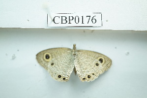  ( - UMKL-JSSW-176)  @12 [ ] Unspecified (default): All Rights Reserved  Unspecified Unspecified