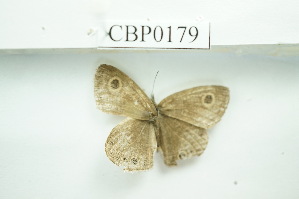  ( - UMKL-JSSW-179)  @12 [ ] Unspecified (default): All Rights Reserved  Unspecified Unspecified