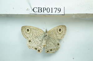  ( - UMKL-JSSW-179)  @12 [ ] Unspecified (default): All Rights Reserved  Unspecified Unspecified