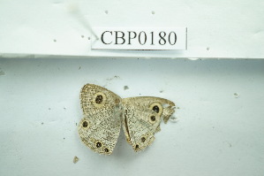  ( - UMKL-JSSW-180)  @12 [ ] Unspecified (default): All Rights Reserved  Unspecified Unspecified