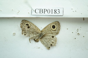  ( - UMKL-JSSW-183)  @12 [ ] Unspecified (default): All Rights Reserved  Unspecified Unspecified