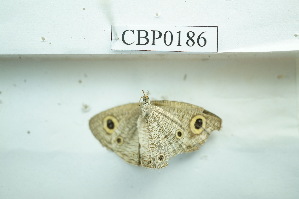  ( - UMKL-JSSW-186)  @12 [ ] Unspecified (default): All Rights Reserved  Unspecified Unspecified