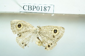  ( - UMKL-JSSW-187)  @12 [ ] Unspecified (default): All Rights Reserved  Unspecified Unspecified