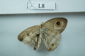  ( - UMKL-JSSW-L8)  @12 [ ] Unspecified (default): All Rights Reserved  Unspecified Unspecified